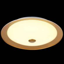 Светильник Euler Maytoni CL815-PT50-G