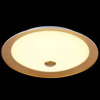Светильник Maytoni CL815-PT50-G Euler