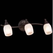 Спот Margaret Maytoni ECO563-03-R