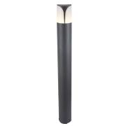  Piccadilly Maytoni O018FL-01B