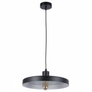 Светильник Ria MyFar MR1390-1P