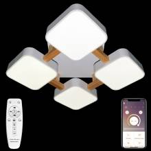 Люстра LED LAMPS Natali Kovaltseva LED LAMPS 81323