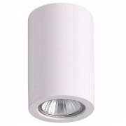 Точечный светильник GESSO Odeon Light 3553/1C