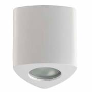 Точечный светильник AQUANA Odeon Light 3574/1C