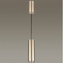 Светильник VINCERE Odeon Light 3828/1C