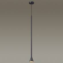 Светильник Pipa Odeon Light 3884/1B