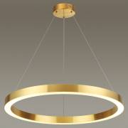 Светильник Brizzi Odeon Light 3885/45LG