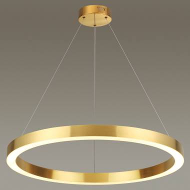 Светильник Odeon Light(Brizzi) 3885/45LG