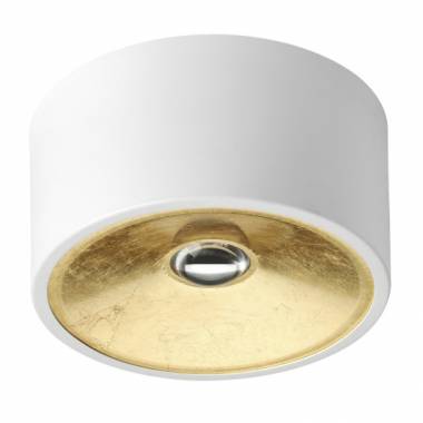 Точечный светильник Odeon Light(GLASGOW) 3892/1C