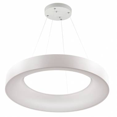 Светильник Odeon Light 4062/80L SOLE