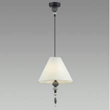 Светильник SOCHI Odeon Light 4896/1 Светильник SOCHI Odeon Light 4896/1