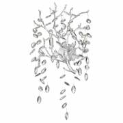 Бра DELICA Odeon Light 4970/3W