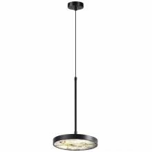 Светильник BERGI Odeon Light 5064/15L Светильник BERGI Odeon Light 5064/15L