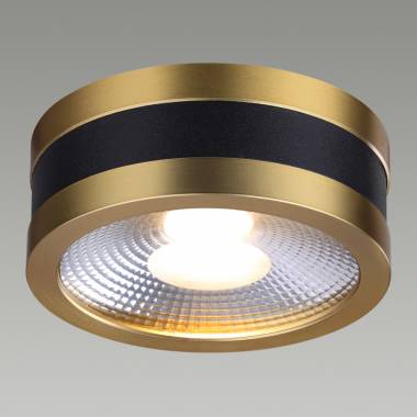 Точечный светильник Odeon Light(REUS) 6613/7CL