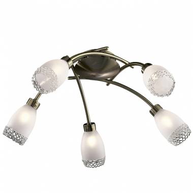 Люстра Odeon Light 1803/5C Lerta