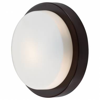 Светильник для ванной комнаты Odeon Light 2744/1C Holger