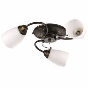 Люстра RUSTIK POWERLIGHT 1-011330