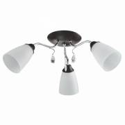 Люстра PURE POWERLIGHT 1-018730