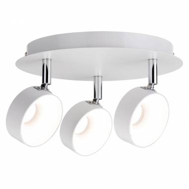 Спот Paulmann(Funnel) 66734