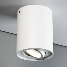 Точечный светильник LONER Quest Light LONER 1 ED white