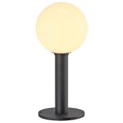  GLOO PURE SLV 232025