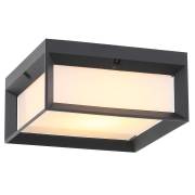  CUBISTA ST LUCE SL077.402.01