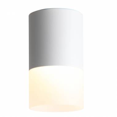Точечный светильник ST LUCE(OTTU) ST100.502.10