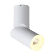 Точечный светильник TORTELLE ST LUCE ST107.502.10