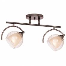 Светильник Sfera Silver Light 255.59.2
