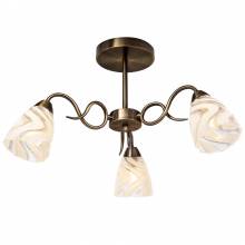Люстра Lyuchita Silver Light 503.53.3