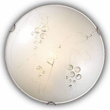 Настенно-потолочный светильник Sonex 104/CL TRAUBE