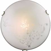  Kusta Sonex 118
