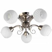 Люстра Dana Toplight TL3560X-05SN