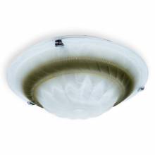  Clare Toplight TL9101Y-02BR