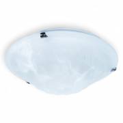  Clare Toplight TL9101Y-02TR