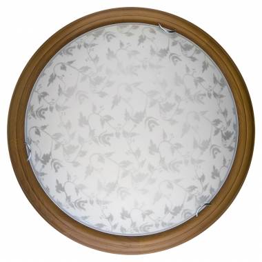 Настенно-потолочный светильник Toplight(Beatrice) TL9280Y-00OA