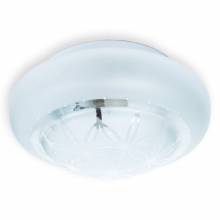  Brianna Toplight TL9571Y-01WH