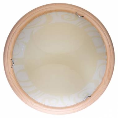 Настенно-потолочный светильник Toplight TL9620Y-00PN Ginger