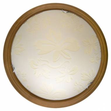 Настенно-потолочный светильник Toplight TL9640Y-00OA Jane