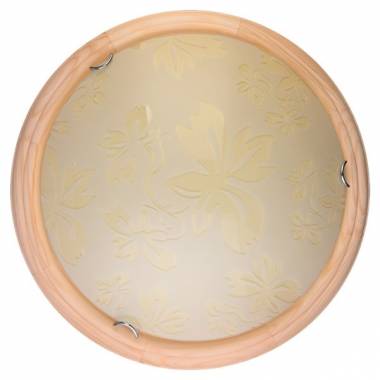 Настенно-потолочный светильник Toplight TL9640Y-00PN Jane