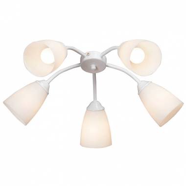 Люстра Vitaluce V3187/5PL