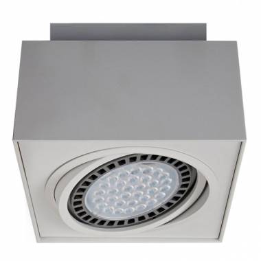 Точечный светильник ZUMALINE(BOXY) 20074-WH
