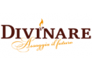 Divinare